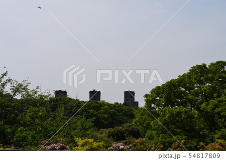 森林公園 森林公園 54817809