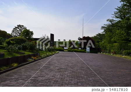 森林公園 森林公園 54817810