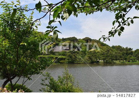 森林公園 森林公園 54817827