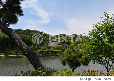 森林公園 森林公園 54817829