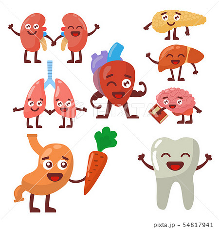 Human organs healthy and unhealthy anatomic funny cartoon character pairs . Human organs healthy and unhealthy anatomic funny cartoon character pairs . 54817941