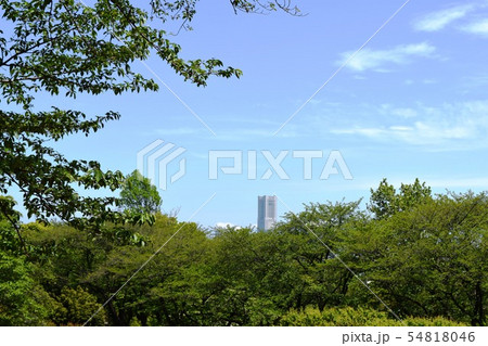 保土谷公園 54818046