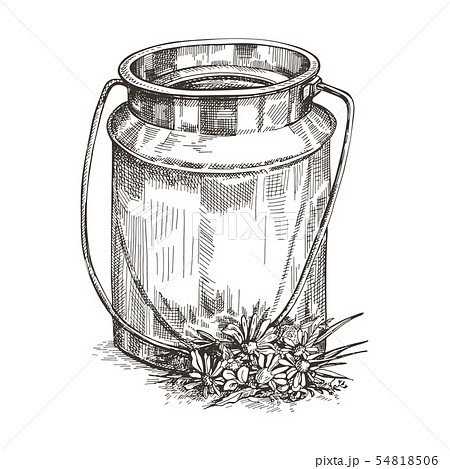 Vector image of milk can and wildflowers. Sketch style drawing. 54818506