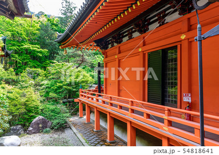 本殿 毘沙門堂門跡 54818641