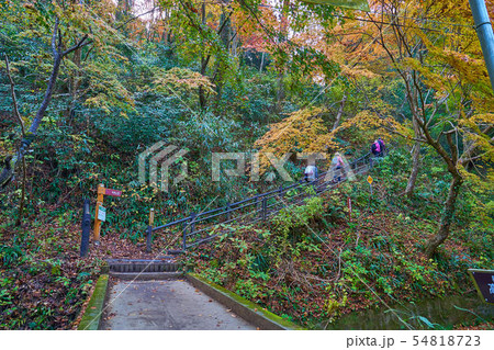 東京 八王子市 秋の高尾山 清滝駅付近の稲荷山コース登山道入り口 54818723