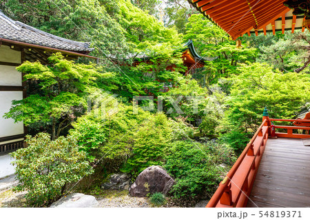 本殿と霊殿 毘沙門堂門跡 54819371