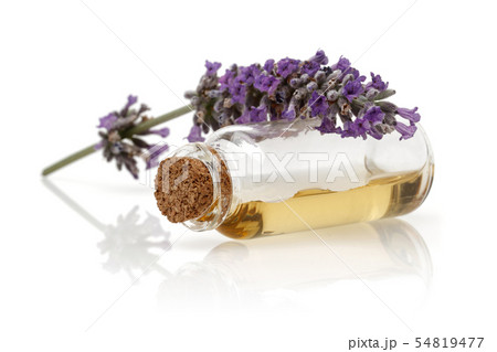 Fresh lavender and a bottle of lavender oil 54819477
