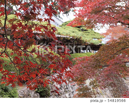 吉峯寺の秋 吉峯寺の秋 54819566