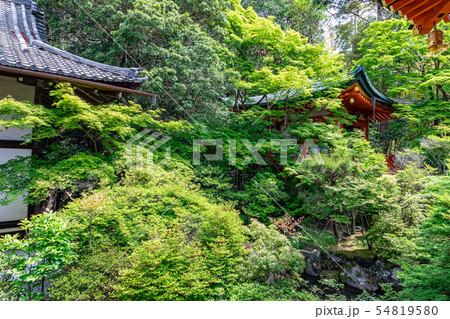 高台弁財天  毘沙門堂門跡 54819580