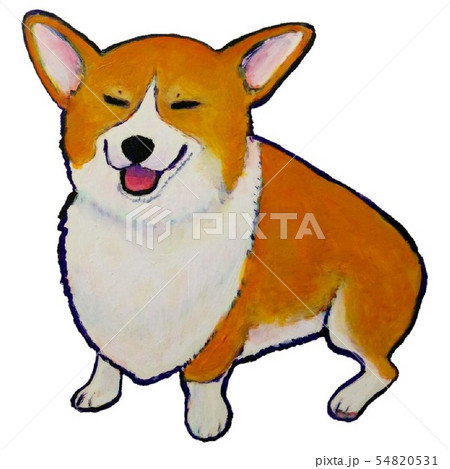 コーギースマイル 54820531