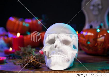 Human skull sitting on a wooden table with scary pumpkin celebrating halloween Human skull sitting on a wooden table with scary pumpkin celebrating halloween 54820588