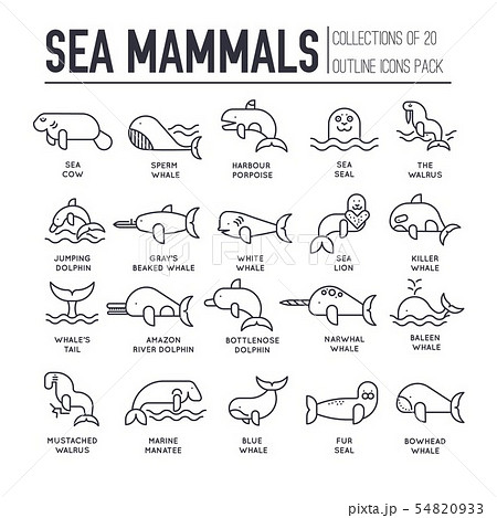 Set of sea mammals thin line icons, pictograms. - Stock Illustration  [54820933] - PIXTA
