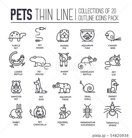 Set of adorable pets thin line icons, pictograms. 54820936