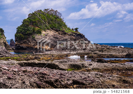 （静岡県）南伊豆　タライ岬 54821568