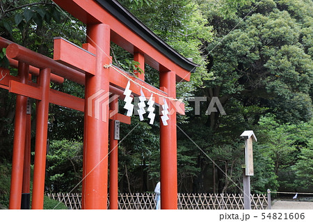 鎌倉 鶴岡八幡宮 鎌倉 鶴岡八幡宮 54821606