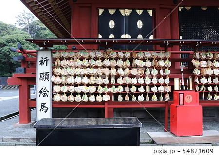 鎌倉 鶴岡八幡宮 54821609