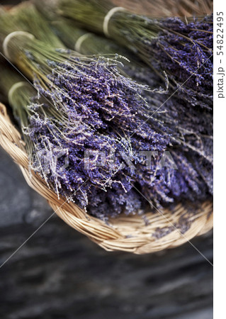 Lavender close up 54822495