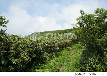 積丹岳登山道 ピリカ台(7合目半過ぎ) 積丹岳登山道 ピリカ台(7合目半過ぎ) 54823023