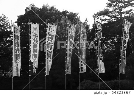 大相撲名古屋場所ののぼり(モノクロ） 54823367