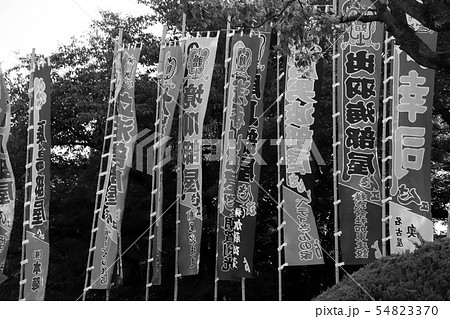 大相撲名古屋場所ののぼり(モノクロ） 54823370