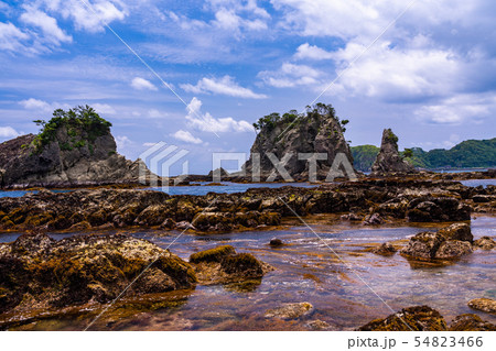 (静岡県)南伊豆タライ岬 逢ヶ浜の磯 (静岡県)南伊豆タライ岬 逢ヶ浜の磯 54823466