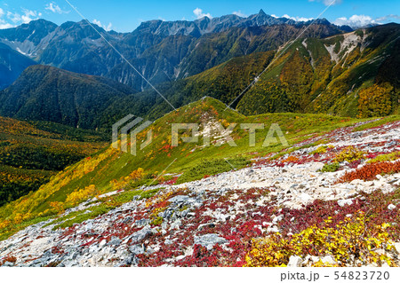 紅葉の横通岳稜線から見る槍・穂高連峰 54823720