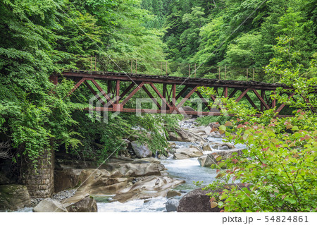 長野県 阿寺渓谷 森林鉄道跡 長野県 阿寺渓谷 森林鉄道跡 54824861