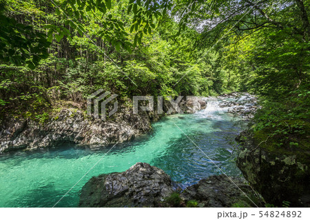 長野県　阿寺渓谷　狸ヶ淵 54824892
