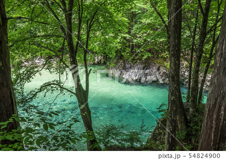 長野県 阿寺渓谷 狸ヶ淵 長野県 阿寺渓谷 狸ヶ淵 54824900