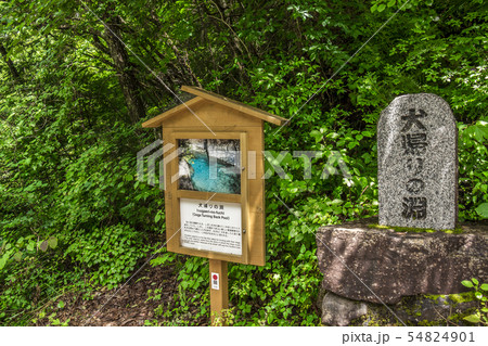 長野県　阿寺渓谷　犬帰りの淵 54824901