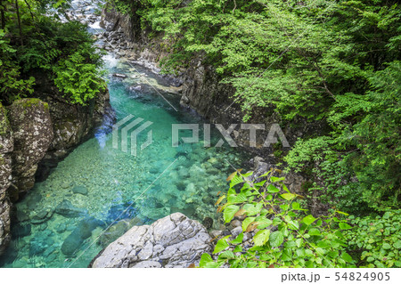 長野県 阿寺渓谷 犬帰りの淵 長野県 阿寺渓谷 犬帰りの淵 54824905