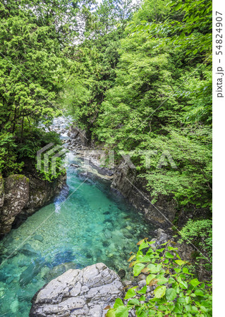長野県　阿寺渓谷　犬帰りの淵 54824907