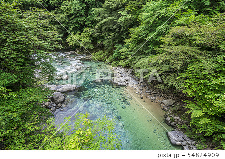 長野県 阿寺渓谷 長野県 阿寺渓谷 54824909