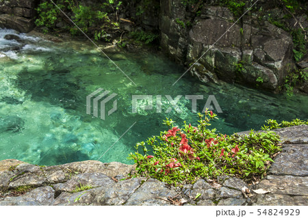 長野県 阿寺渓谷 熊ヶ淵 長野県 阿寺渓谷 熊ヶ淵 54824929