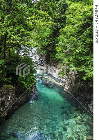 長野県　阿寺渓谷　犬帰りの淵 54824944