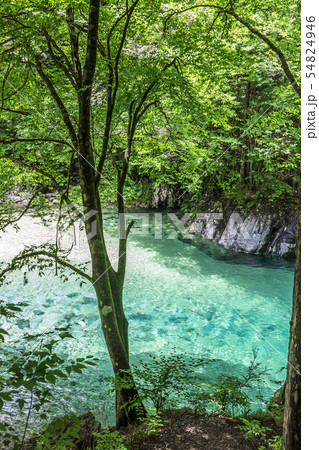 長野県　阿寺渓谷　狸ヶ淵 54824946