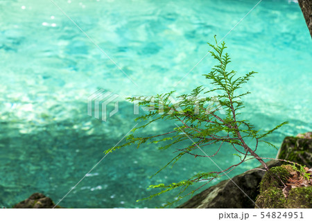 長野県 阿寺渓谷 狸ヶ淵 長野県 阿寺渓谷 狸ヶ淵 54824951