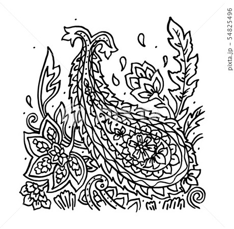 Paisley ornament vector isolated on white Paisley ornament vector isolated on white 54825496