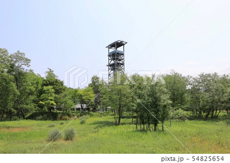 旧三井砂川炭鉱中央立坑櫓 旧三井砂川炭鉱中央立坑櫓 54825654