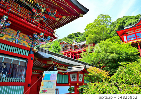 佐賀県　風景　祐徳稲荷神社 54825952