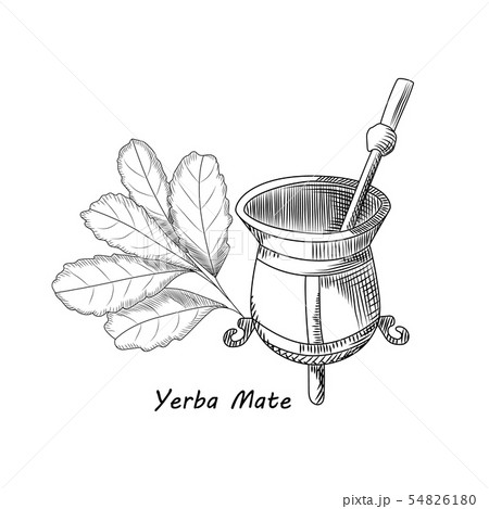 Calabash and bombilla for yerba mate drink. Mate 54826180