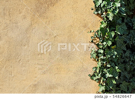 Natural background with empty yellow wall and 54826647