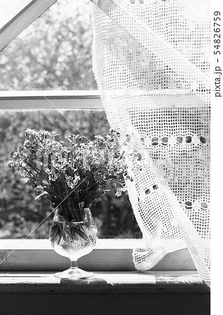 Bouquet of the wild flowers on the window sill Bouquet of the wild flowers on the window sill 54826759