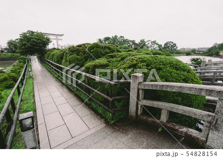 長岡天満宮の風景 54828154