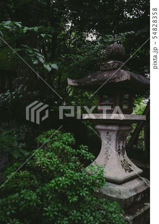 長岡天満宮の風景 54828358