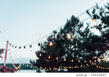 Light bulb decor in outdoor party, Wedding party Light bulb decor in outdoor party, Wedding party 54828607