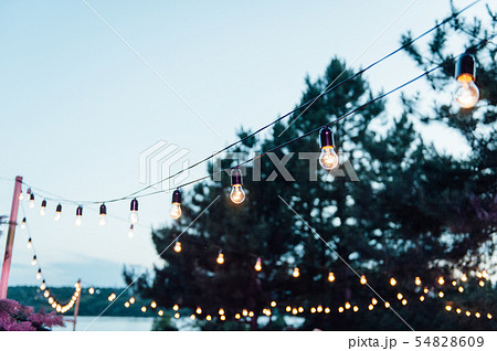 Light bulb decor in outdoor party, Wedding party Light bulb decor in outdoor party, Wedding party 54828609