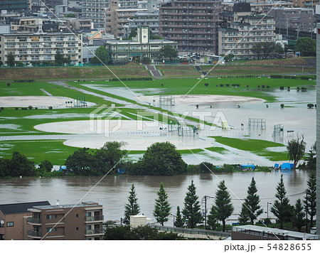 大雨で増水した多摩川 / Tama River after heavy rain 54828655