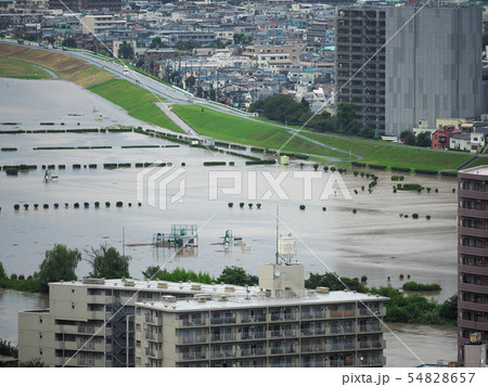 大雨で増水した多摩川 / Tama River after heavy rain 54828657