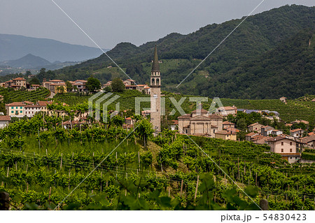 Santo Stefano village surrounded by vineyards Santo Stefano village surrounded by vineyards 54830423